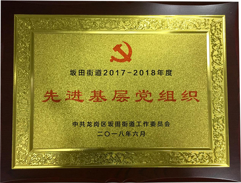 世界杯下单官方网站公司党支部荣获“先进基层党组织”称号